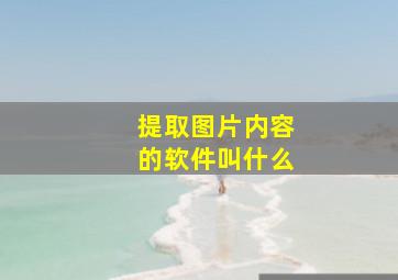 提取图片内容的软件叫什么