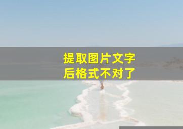 提取图片文字后格式不对了