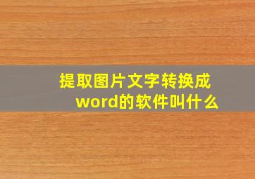 提取图片文字转换成word的软件叫什么