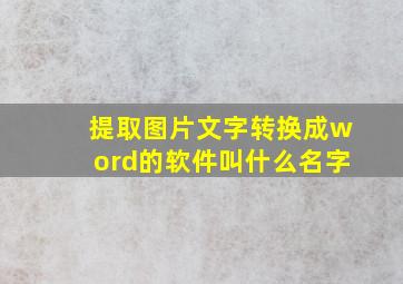 提取图片文字转换成word的软件叫什么名字