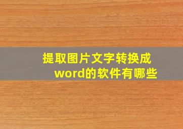 提取图片文字转换成word的软件有哪些