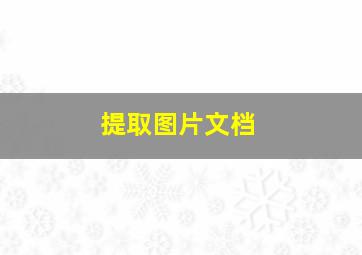 提取图片文档