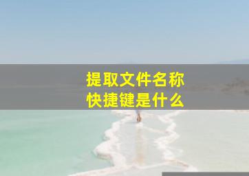 提取文件名称快捷键是什么