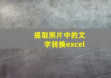 提取照片中的文字转换excel