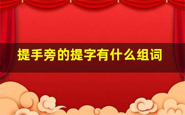 提手旁的提字有什么组词