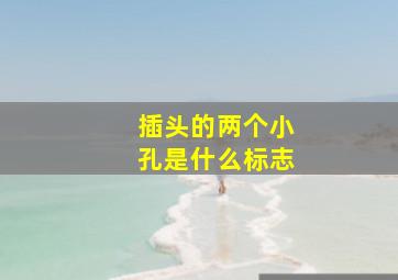 插头的两个小孔是什么标志