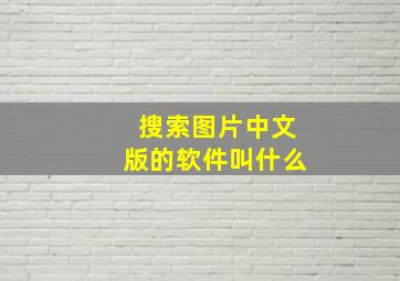 搜索图片中文版的软件叫什么