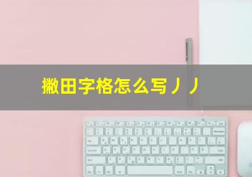 撇田字格怎么写丿丿