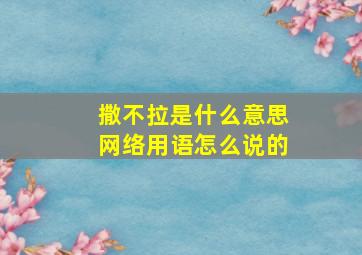 撒不拉是什么意思网络用语怎么说的