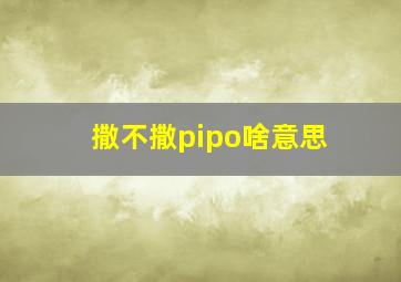 撒不撒pipo啥意思