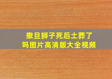 撒旦狮子死后土葬了吗图片高清版大全视频