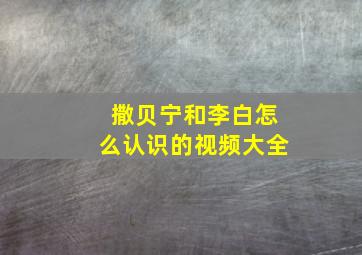 撒贝宁和李白怎么认识的视频大全