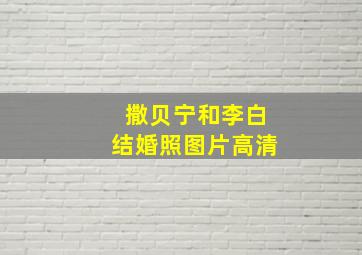 撒贝宁和李白结婚照图片高清