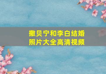 撒贝宁和李白结婚照片大全高清视频