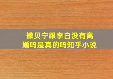 撒贝宁跟李白没有离婚吗是真的吗知乎小说