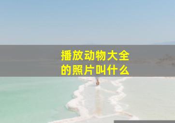 播放动物大全的照片叫什么