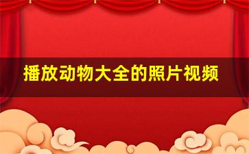 播放动物大全的照片视频