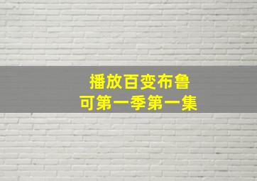 播放百变布鲁可第一季第一集