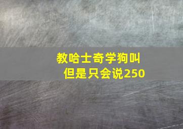 教哈士奇学狗叫但是只会说250