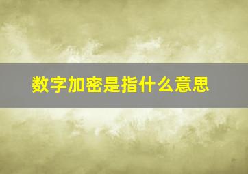 数字加密是指什么意思