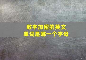 数字加密的英文单词是哪一个字母