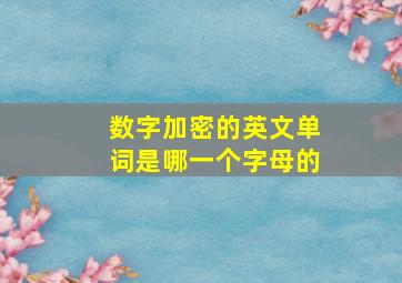 数字加密的英文单词是哪一个字母的