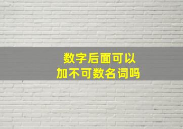 数字后面可以加不可数名词吗