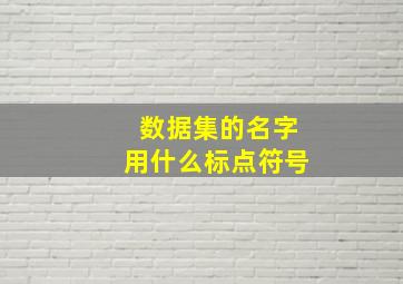 数据集的名字用什么标点符号