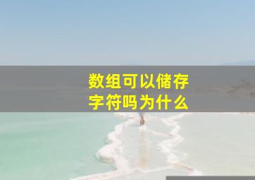 数组可以储存字符吗为什么