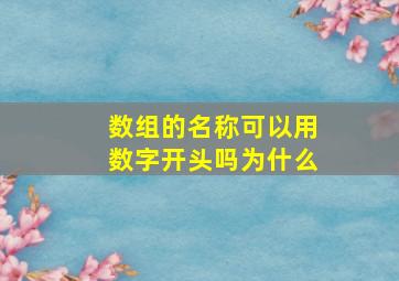 数组的名称可以用数字开头吗为什么