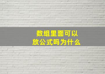 数组里面可以放公式吗为什么