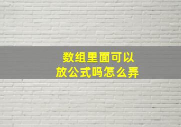 数组里面可以放公式吗怎么弄