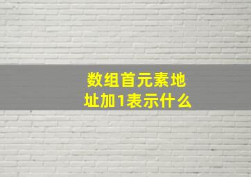 数组首元素地址加1表示什么