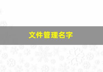 文件管理名字