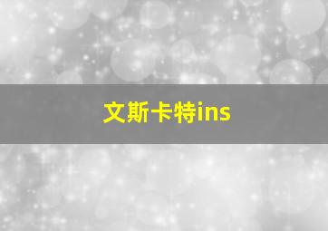 文斯卡特ins