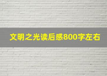 文明之光读后感800字左右