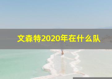 文森特2020年在什么队