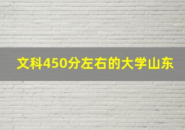 文科450分左右的大学山东