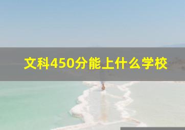 文科450分能上什么学校