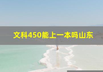 文科450能上一本吗山东