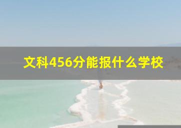 文科456分能报什么学校