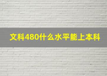 文科480什么水平能上本科