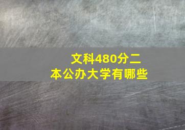 文科480分二本公办大学有哪些