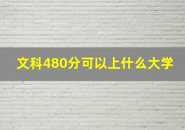 文科480分可以上什么大学