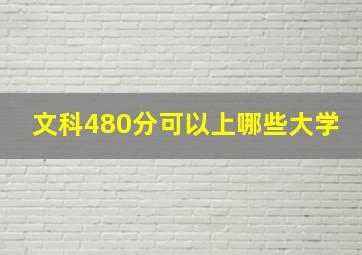 文科480分可以上哪些大学