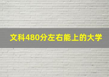 文科480分左右能上的大学