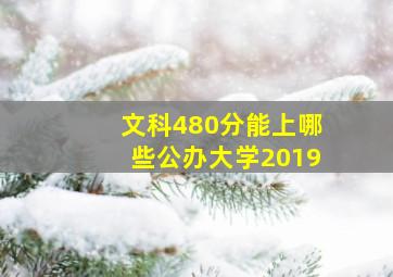 文科480分能上哪些公办大学2019