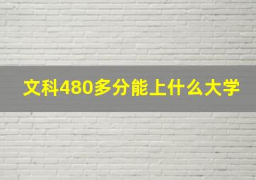 文科480多分能上什么大学