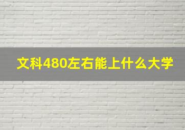 文科480左右能上什么大学