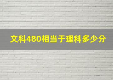 文科480相当于理科多少分